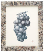 A framed illustration of black grapes on a white background, displayed in an 8x10 Mixed Gray Marble Corsica Frame by Pigeon & Poodle.
