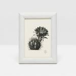 A framed black and white botanical illustration of a cactus with a flower, displayed upright against a white background. Features the Oxford Frame Collection by Pigeon & Poodle for added style and durability.