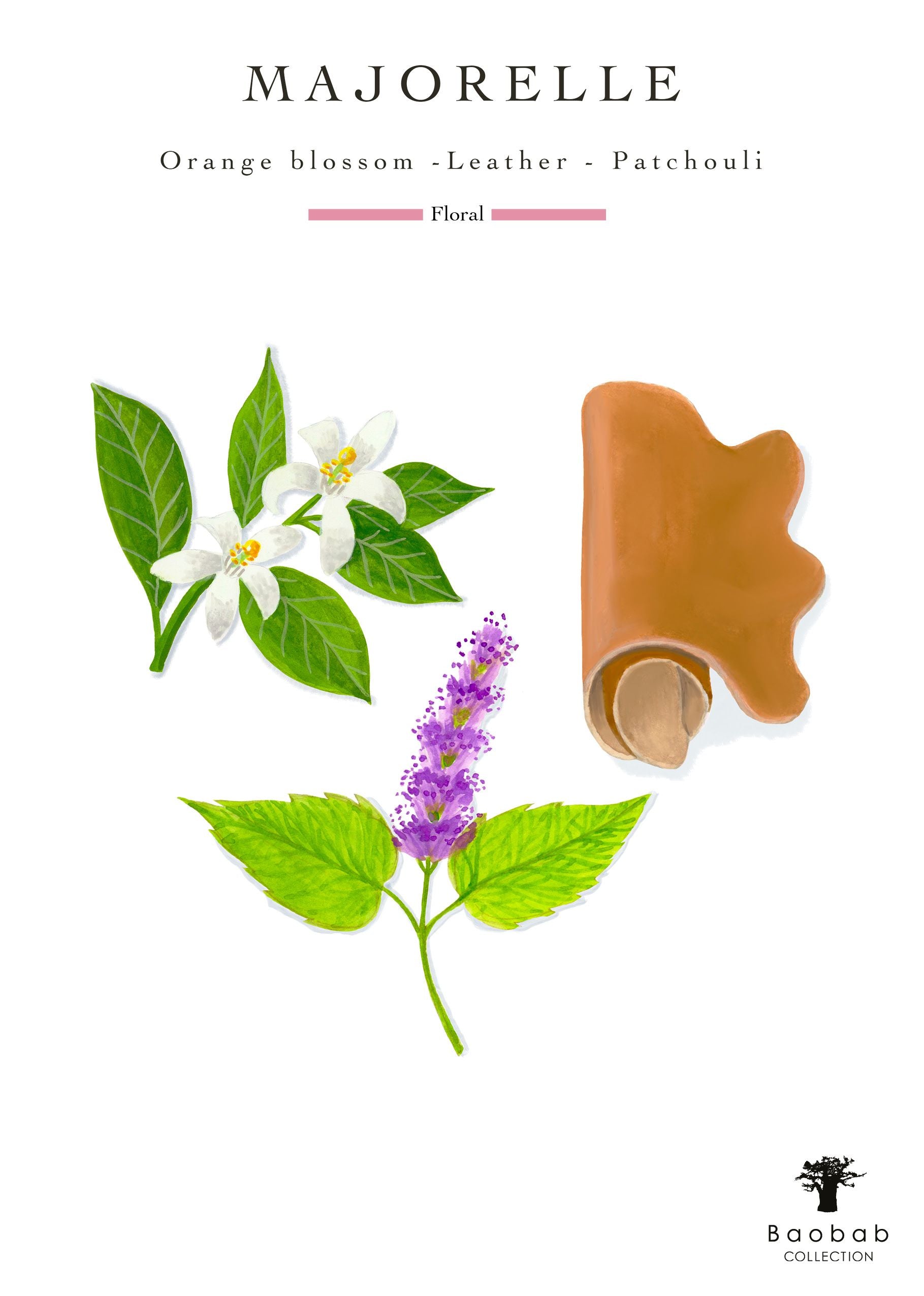 Illustration of the Atlas Majorelle Candle's scent components: rich leather, vibrant orange blossom, and earthy patchouli, with the brand "Baobab" elegantly displayed at the bottom.