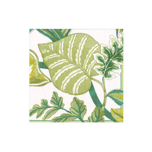 The Florida Pierre Frey Ivory Collection by Caspari features detailed green tropical leaf illustrations on white, ideal for eco-friendly triple-ply napkins.
