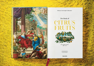 An open book shows an illustrated scene of people with citrus fruits on copper plates on the left page, and "The Book of Citrus" by Taschen against a yellow, villa-like textured background on the right.