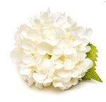 The Hydrangea Napkin Ring Set by Deborah Rhodes features white hydrangea blooms with two green leaves on a white background—an elegant accent for garden-inspired table decor or unique napkin rings.