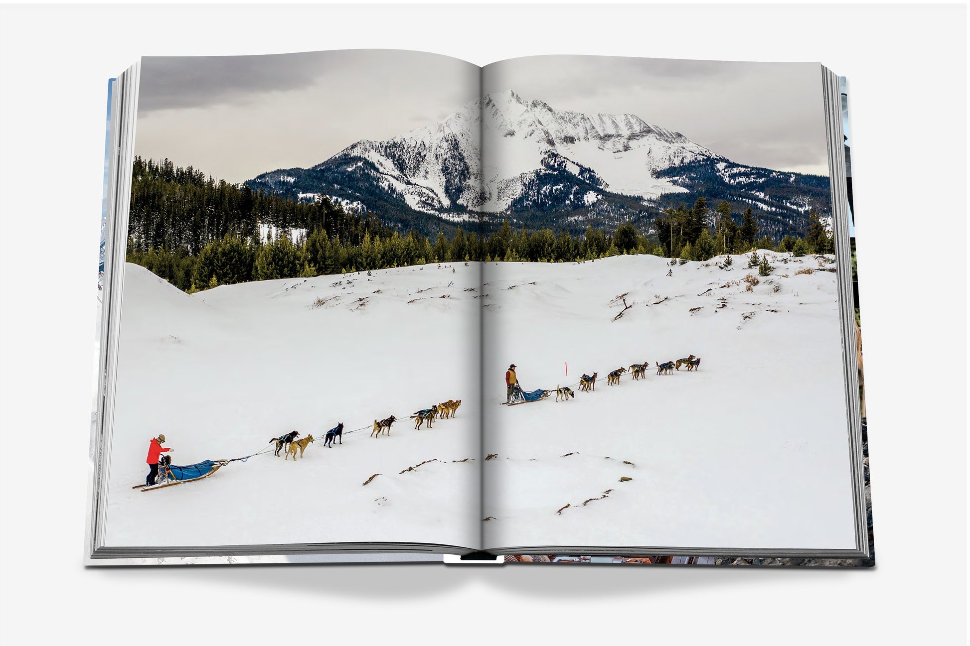 An open book from Assouline titled "Big Sky" shows a snowy landscape with two dog sled teams crossing snow, framed by pine trees and mountains near Big Sky, Montana.