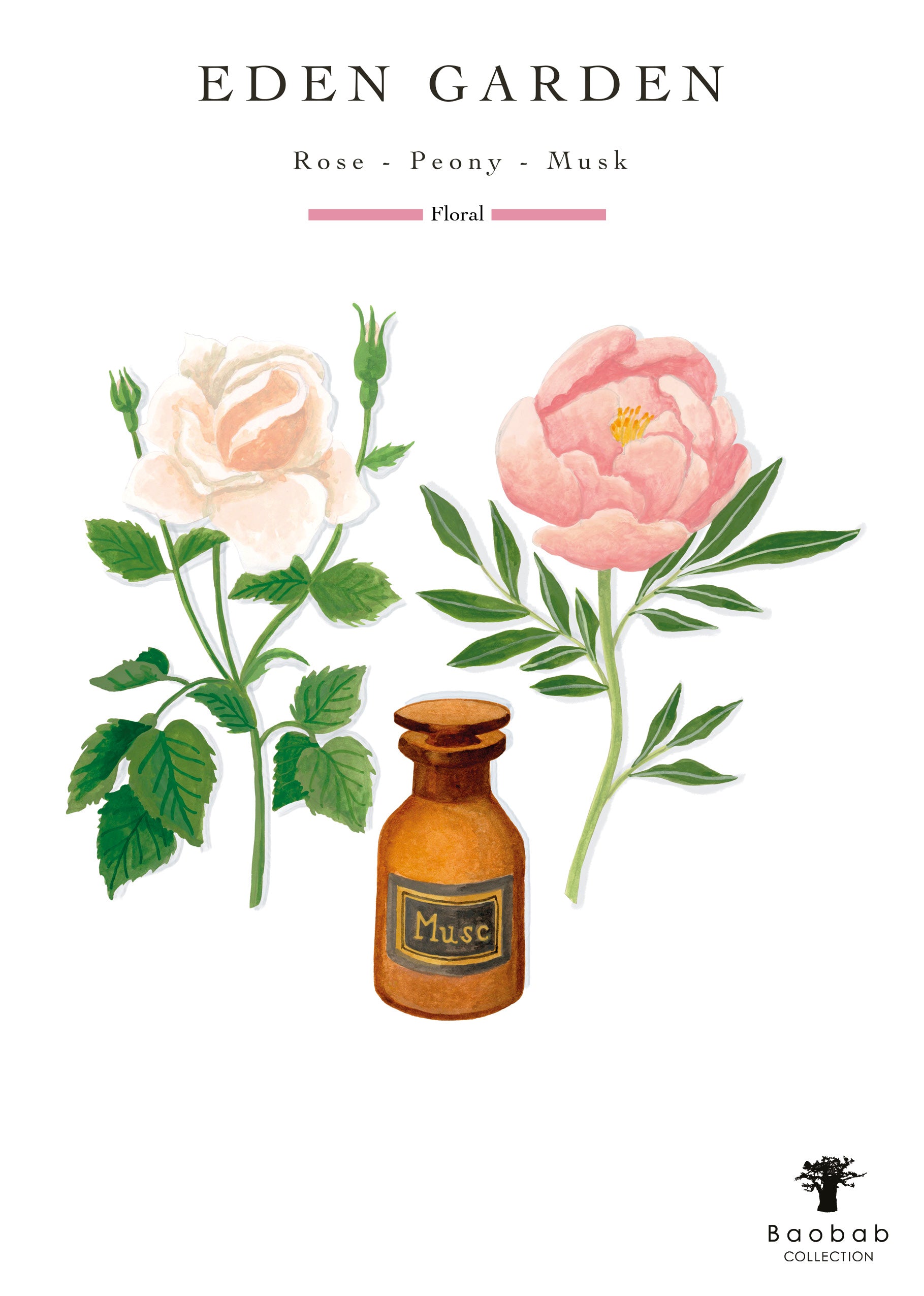 Illustration of an eternal rose and peony with a bottle labeled "Musk" below. Text reads "Baobab Eden Garden Candle – Rose, Peony, Musk – Floral.