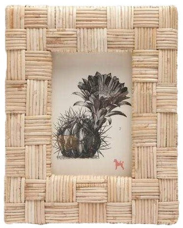 Vintage botanical illustration framed by an extra-thick Pigeon and Poodle Grasse Frame Collection frame.