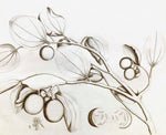 A pencil drawing of a plant branch with broad leaves and clustered fruits, inspired by Indian Botanicals, from Ornis Gallery's Malabar Garden 2414 collection on archival paper.