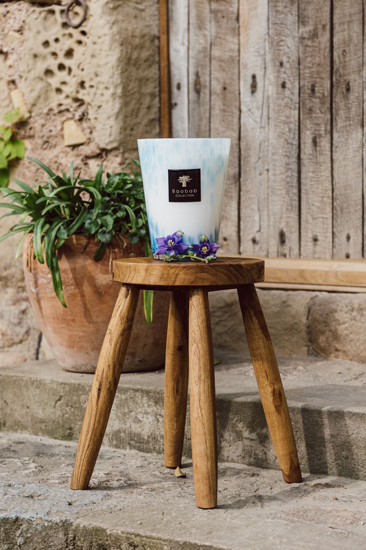A blue and white vase with flowers sits on a wooden stool, accompanied by the Baobab Collection Eden Seaside Candle by Baobab nearby. In the background, a green plant in a terracotta pot adds charm against the rustic wooden door.