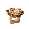 Pareo Napkin Ring - Natural/Brown
