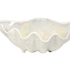 Medium Clam Bowl Collection - Pearl