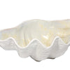 Large Clam Bowl Collection - Pearl