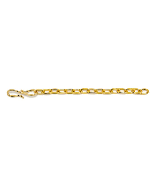 Lizzie Fortunato Gold Chain Extender Necklace.