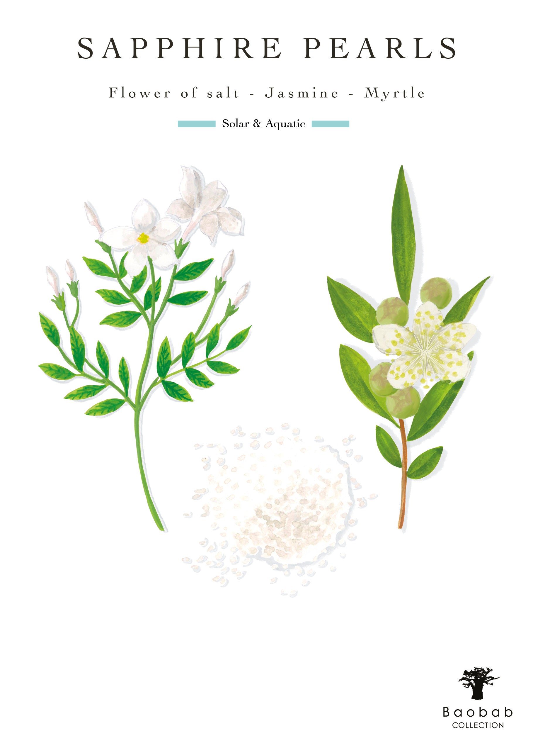 Depicting jasmine and myrtle flowers next to a sprinkle of salt, the Baobab Collection Pearls Sapphire Candle captures the marine perfume essence.