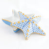 Starfish Box Collection - Blue