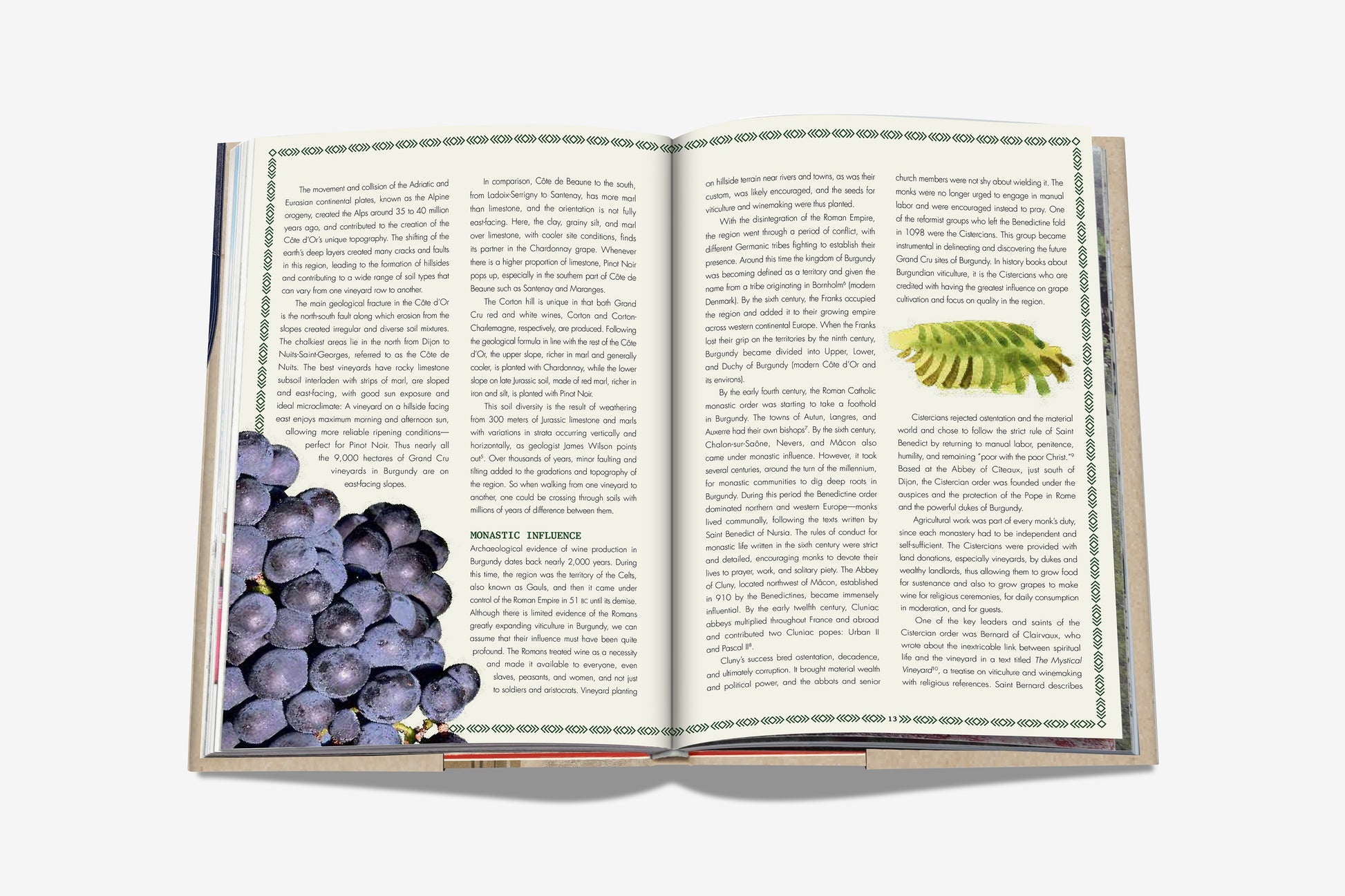 An open book, "The 100 Burgundy: Exceptional Wines To Build A Dream Cellar" by Assouline, displays two pages—grapes illustrated on the left, evoking Burgundy wines, and a fern leaf on the right.