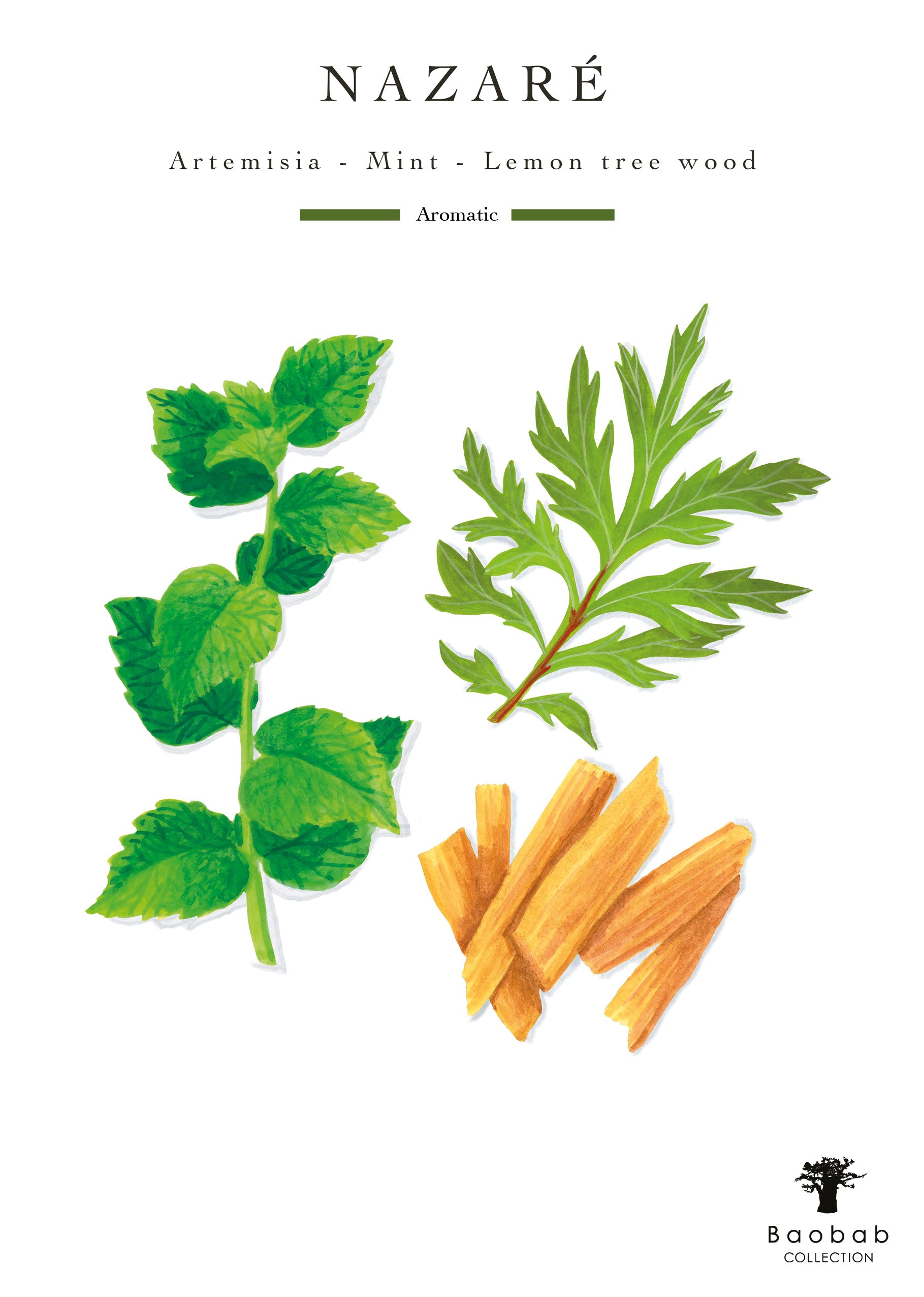 Illustration of vibrant green artemisia and mint leaves, surrounded by yellow lemon tree wood pieces encircling the Baobab Collection Waves Nazaré Candle. Text: "Nazaré - Artemisia, Mint, Lemon tree wood. Aromatic. Baobab.