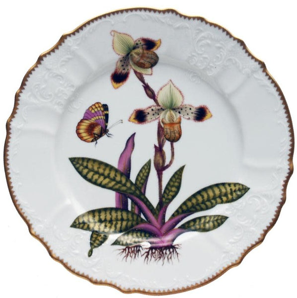 Decorative porcelain plate featuring a detailed, hand-painted illustration of orchids, a butterfly, and a caterpillar from the Anna Weatherley Orchid V Collection, with scalloped gold edges and embossed patterns.