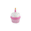 Cupcake with Candle - Raspberry