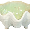 Small Clam Bowl Collection - Sea Foam