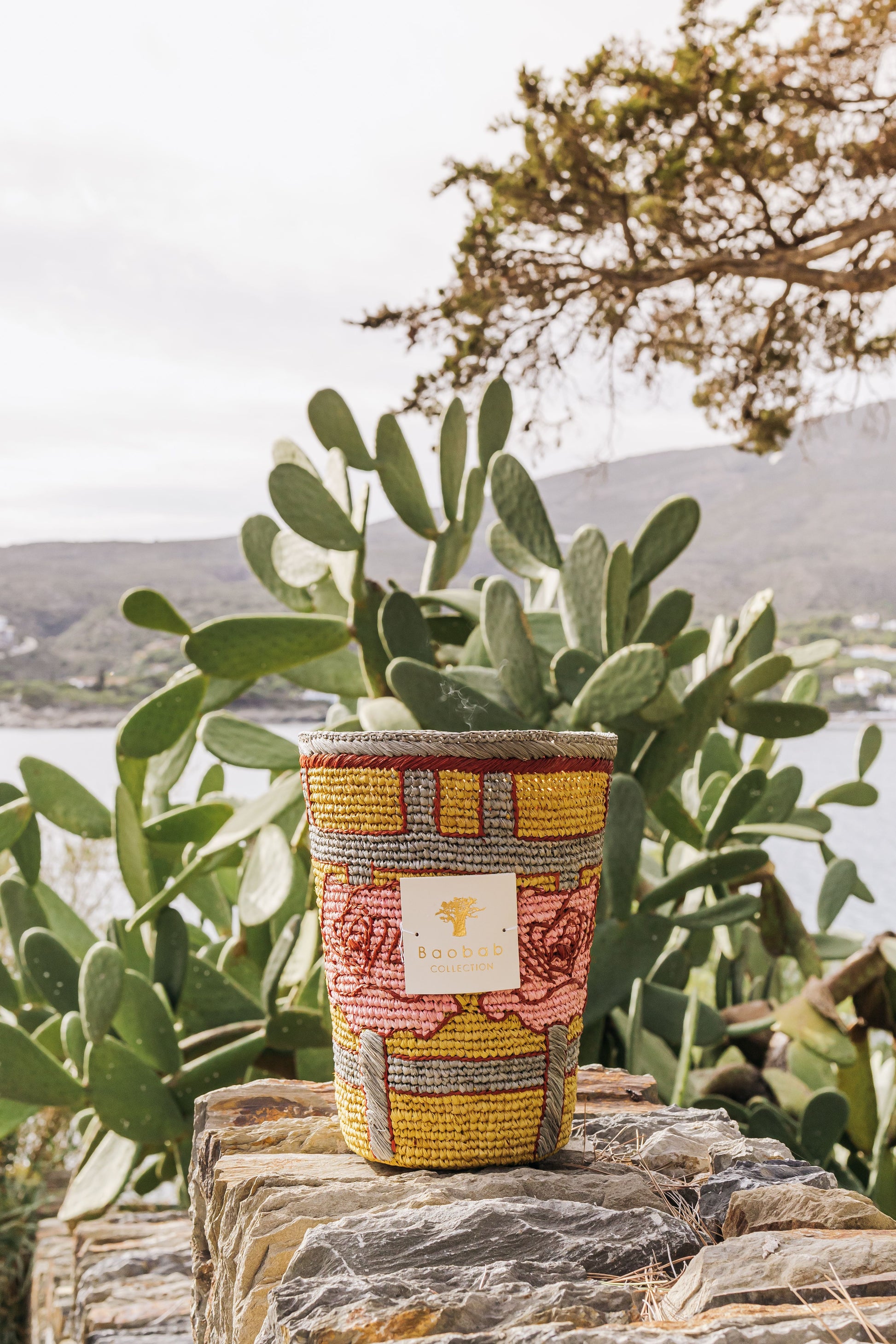 A Baobab Collection Frida Draozy Magda Candle on a stone wall with a large cactus and coastal scenery in the background.