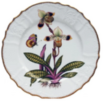 The Anna Weatherley Orchid V Dinnerware Collection dinner plate features white ceramic with a scalloped, gold-edged rim and hand-painted orchid artwork, including green leaves, roots, and a butterfly for an elegant touch.