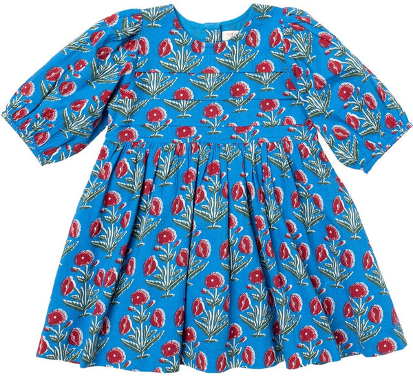 An eye-catching Pink Chicken Girls' Evelyn Dress adorned with red flowers, perfect for any special occasion.
