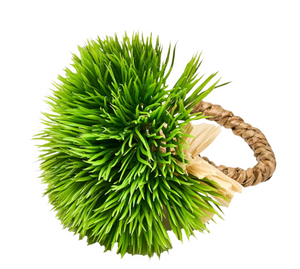 A close-up of the Deborah Rhodes Mossy Mound Napkin Ring, featuring artificial green grass blades on a braided rope, perfect as playful spring table decor, isolated on white.