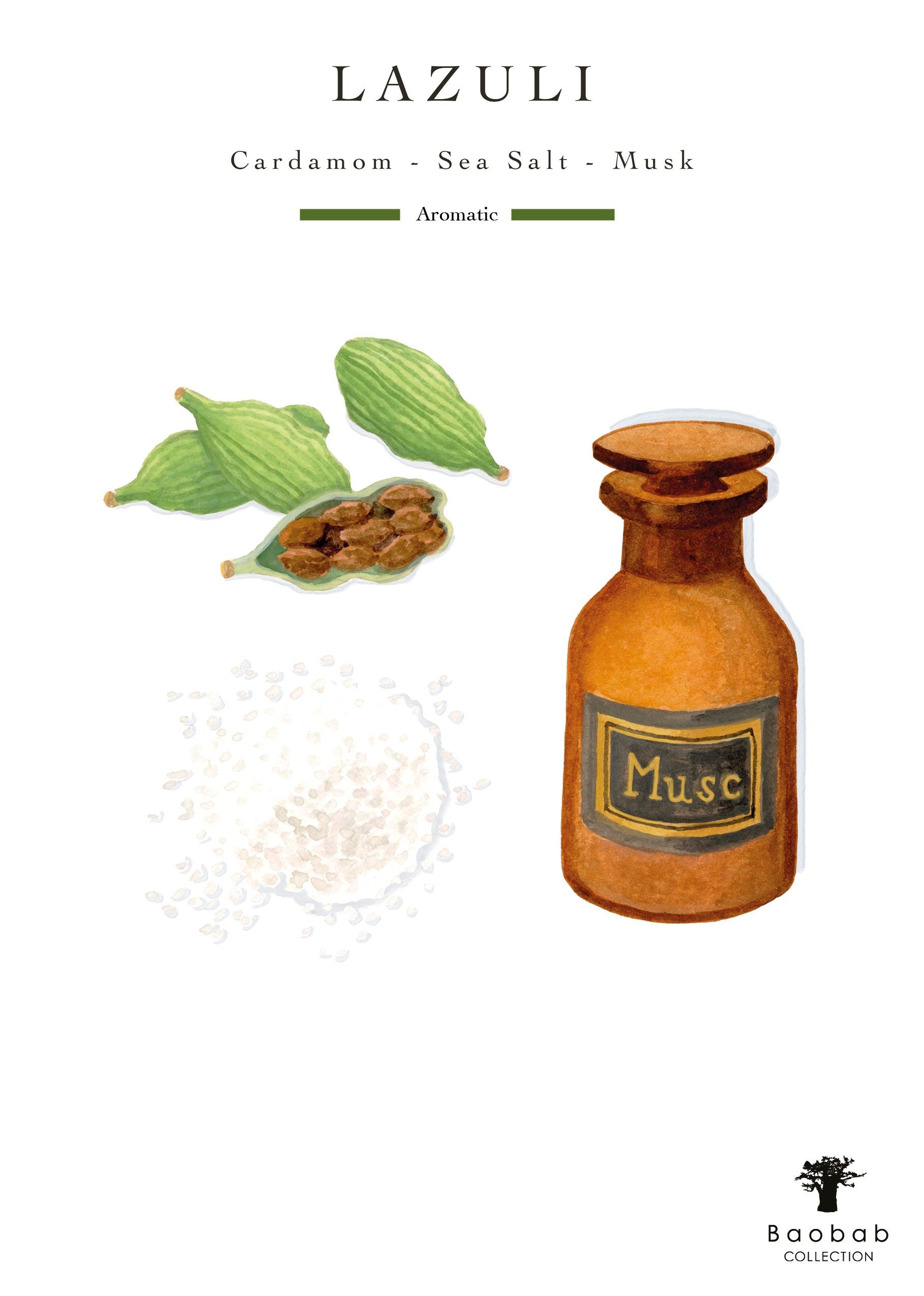 Illustration of a bottle labeled 'Musk,' green cardamom pods, and a pile of sea salt, with text 'Lazuli Cardamom - Sea Salt - Musk Aromatic' and 'Baobab Collection' at the bottom. The Baobab Collection Stones Lazuli Candle is encased in marbled glass.