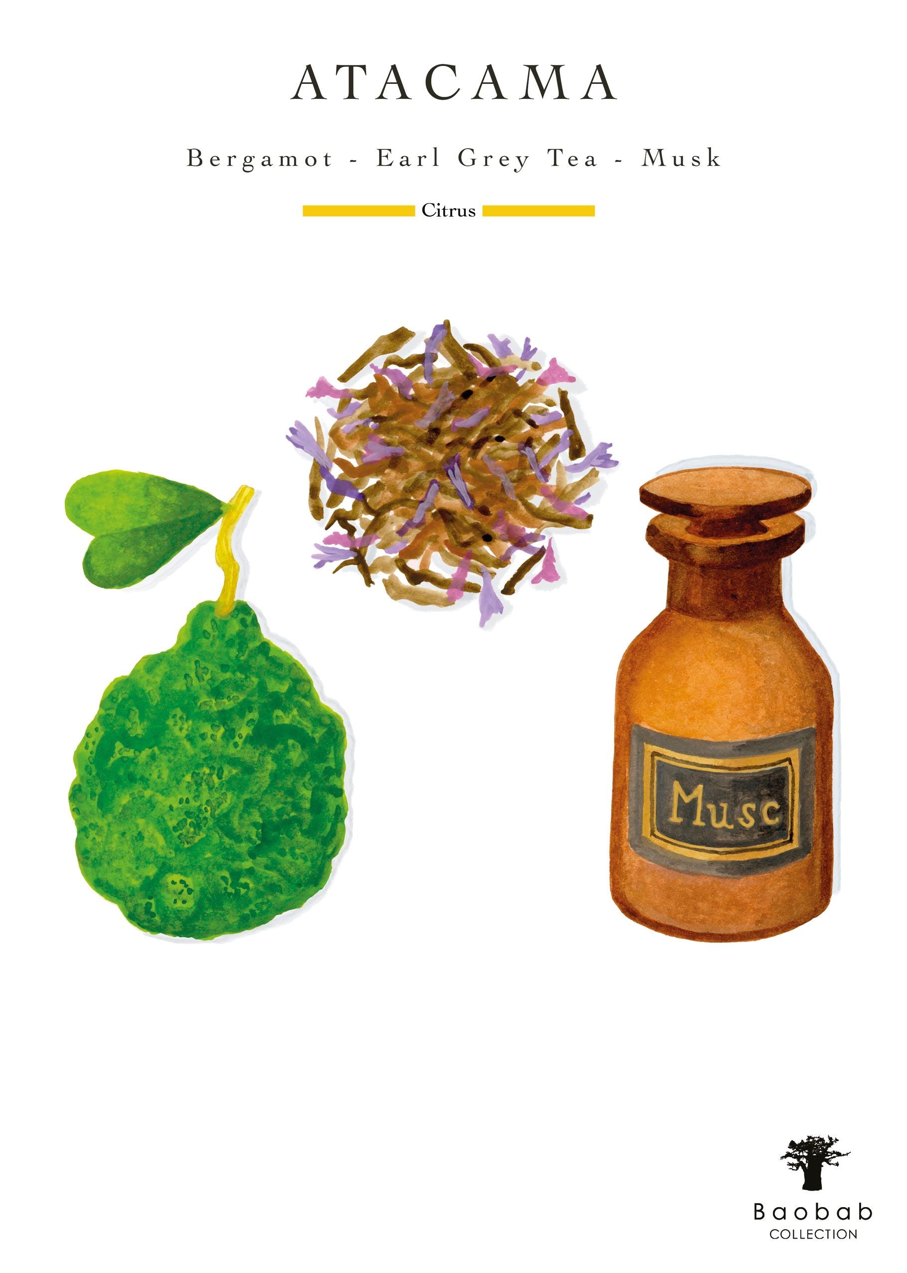 Illustrations of a bergamot fruit, dried tea leaves with purple flowers, and a brown bottle labeled "Musc" appear above the text "Baobab Collection Sand Atacama Candle." The description below reads "Bergamote - Earl Grey Tea - Musk," perfect for enhancing your space with hand-blown glass artistry by Baobab.