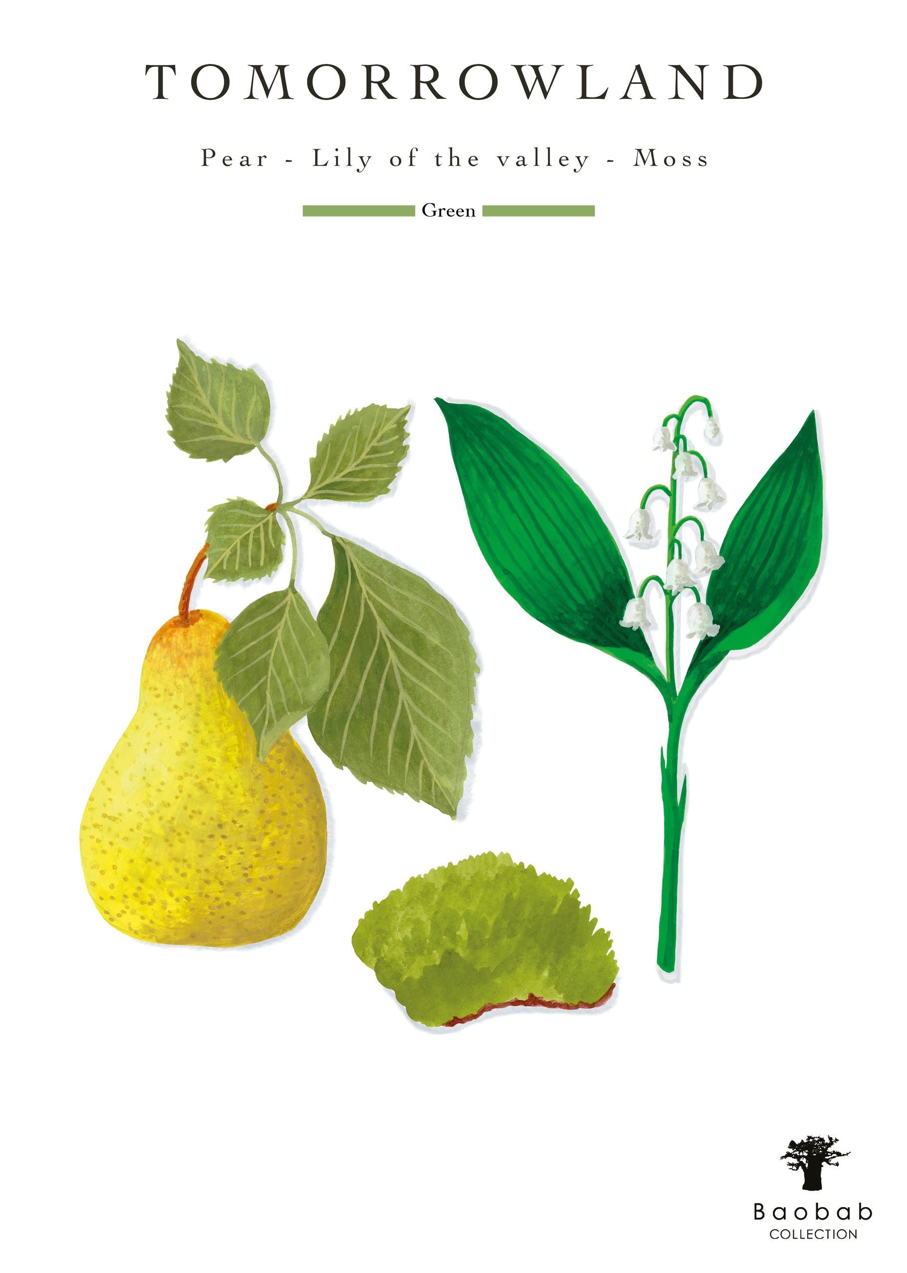 An illustration featuring a pear, lily of the valley flower, and moss intricately intertwined in an Art Nouveau style appears beneath the title "Tomorrowland." Accompanying text reads "Pear - Lily of the valley - Moss," along with the brand name "Baobab," capturing a sense of timeless beauty.