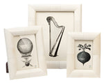 The Vannes Frame Collection by Pigeon & Poodle displays three beveled white-framed pictures with black-and-white illustrations of a hot air balloon, harp, and root vegetable.