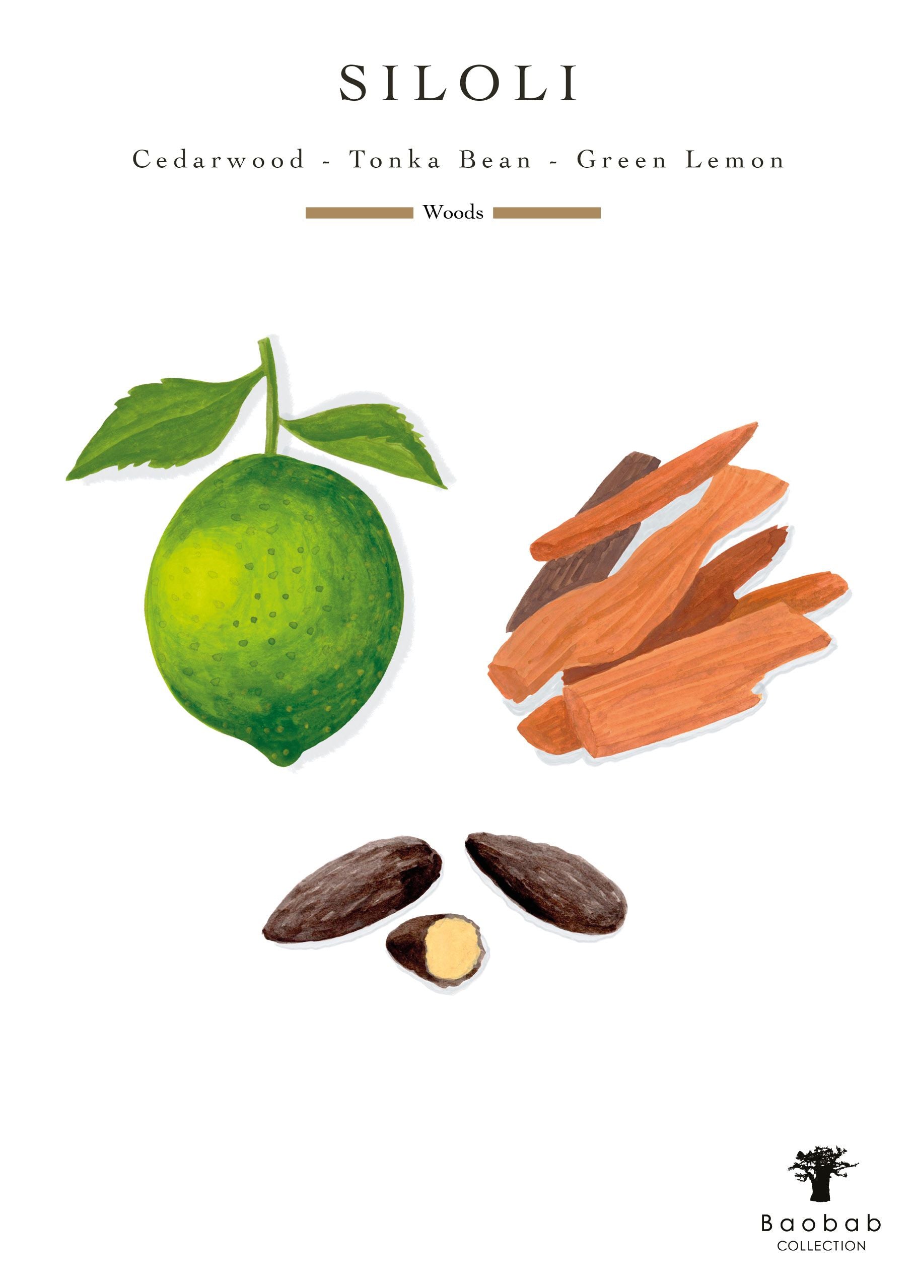 Illustration of fresh Green Lemon, aromatic Cedarwood pieces, and rich Tonka Beans on a white background with the text "Baobab Collection Sand Siloli Candle - Scented with Cedarwood, Tonka Bean, and Green Lemon" and the Baobab logo.