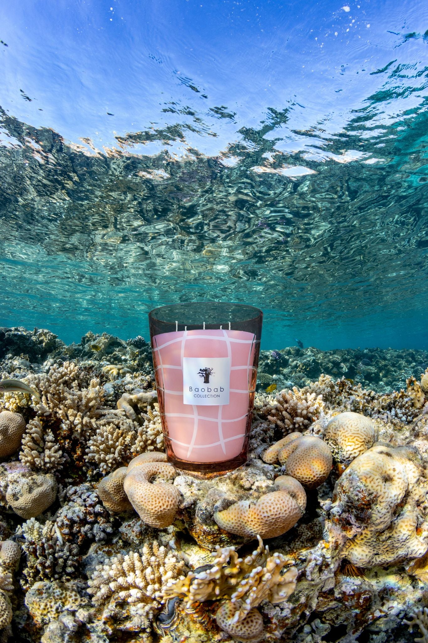 A Baobab Waves Malibu Candle placed on a coral reef under clear ocean water, showcasing a blend of natural and manufactured elements.