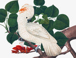 The Chinese Birds Print 3700 by Ornis Gallery features a white cockatoo with an orange crest, perched on a branch adorned with green leaves and red flowers, capturing the essence of traditional Chinese bird art.