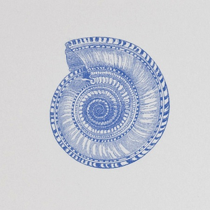 The Printery Nautilus Notepad features a detailed blue ink illustration of a spiral seashell on each of its 50 bone white sheets, showcasing a striking nautilus graphic on a plain background.