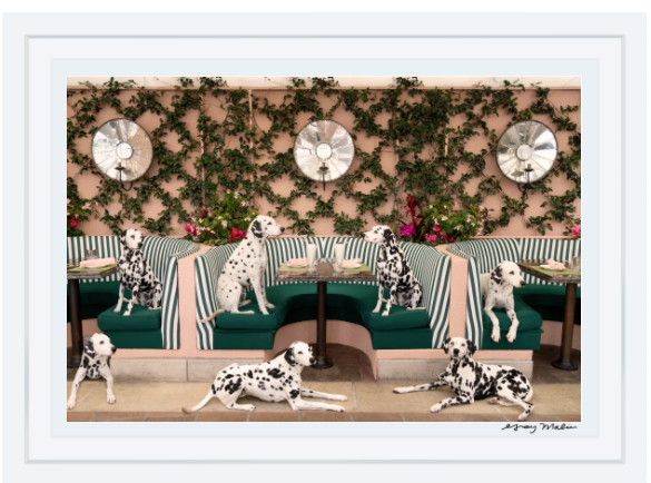 Eight Dalmatians lounge on green-striped booths at The Cabana Cafe in the Gray Malin "Spotted at The Cabana Cafe" photograph (15.5”x21”, white frame) by Gray Malin.