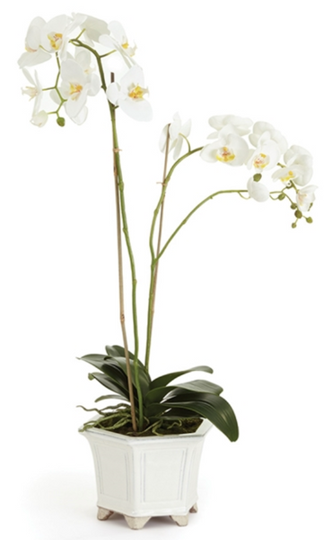 Barclay Butera Faux Phalaenopsis White Orchid Drop-In by Napa Home & Garden, with two blooming stems in a decorative ceramic pot, isolated on a white background.