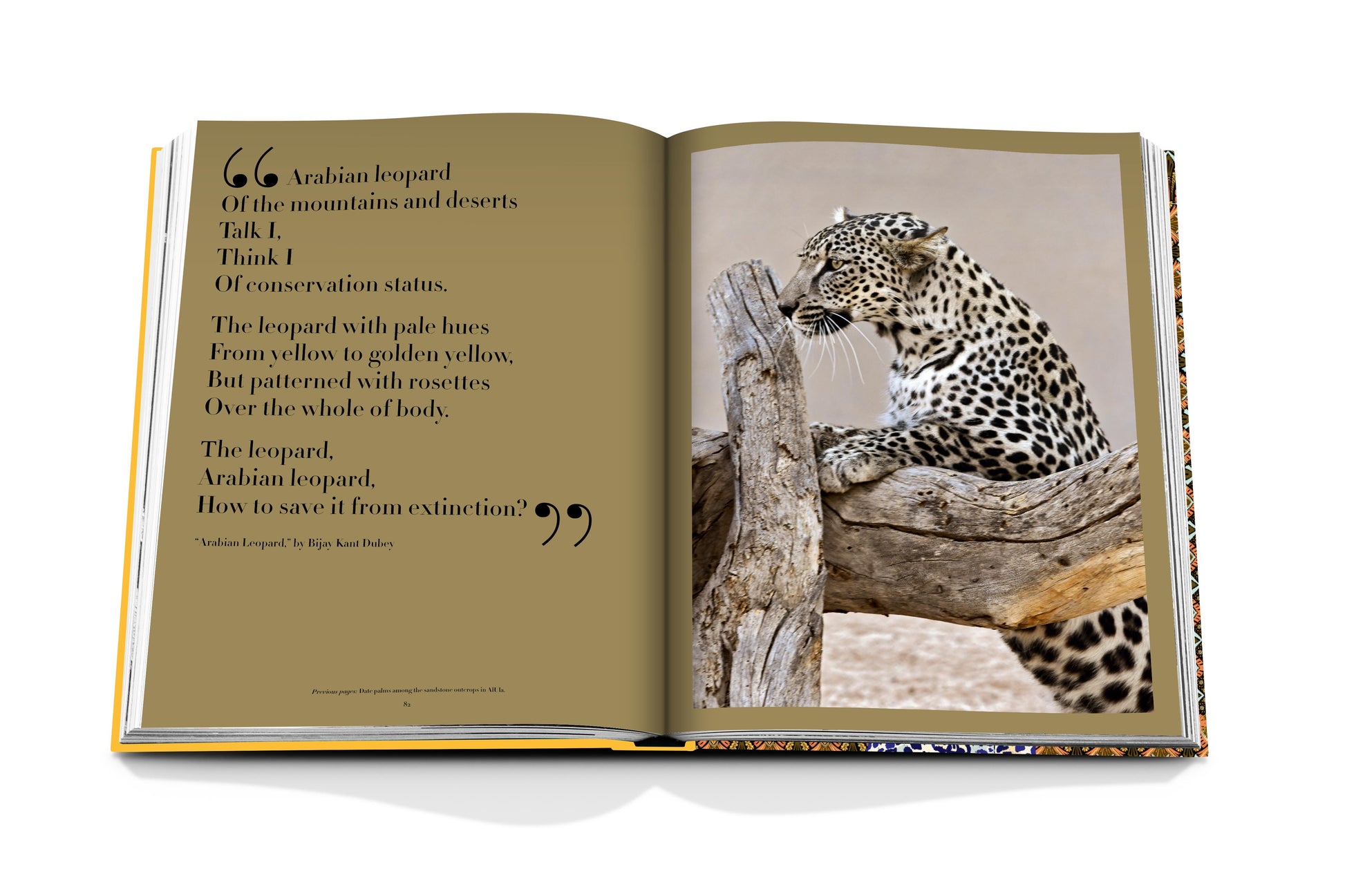 Discover Assouline's "Arabian Leopard," featuring a poem about this critically endangered species on the left and a stunning image of the leopard on the right, emphasizing urgent conservation needs.
