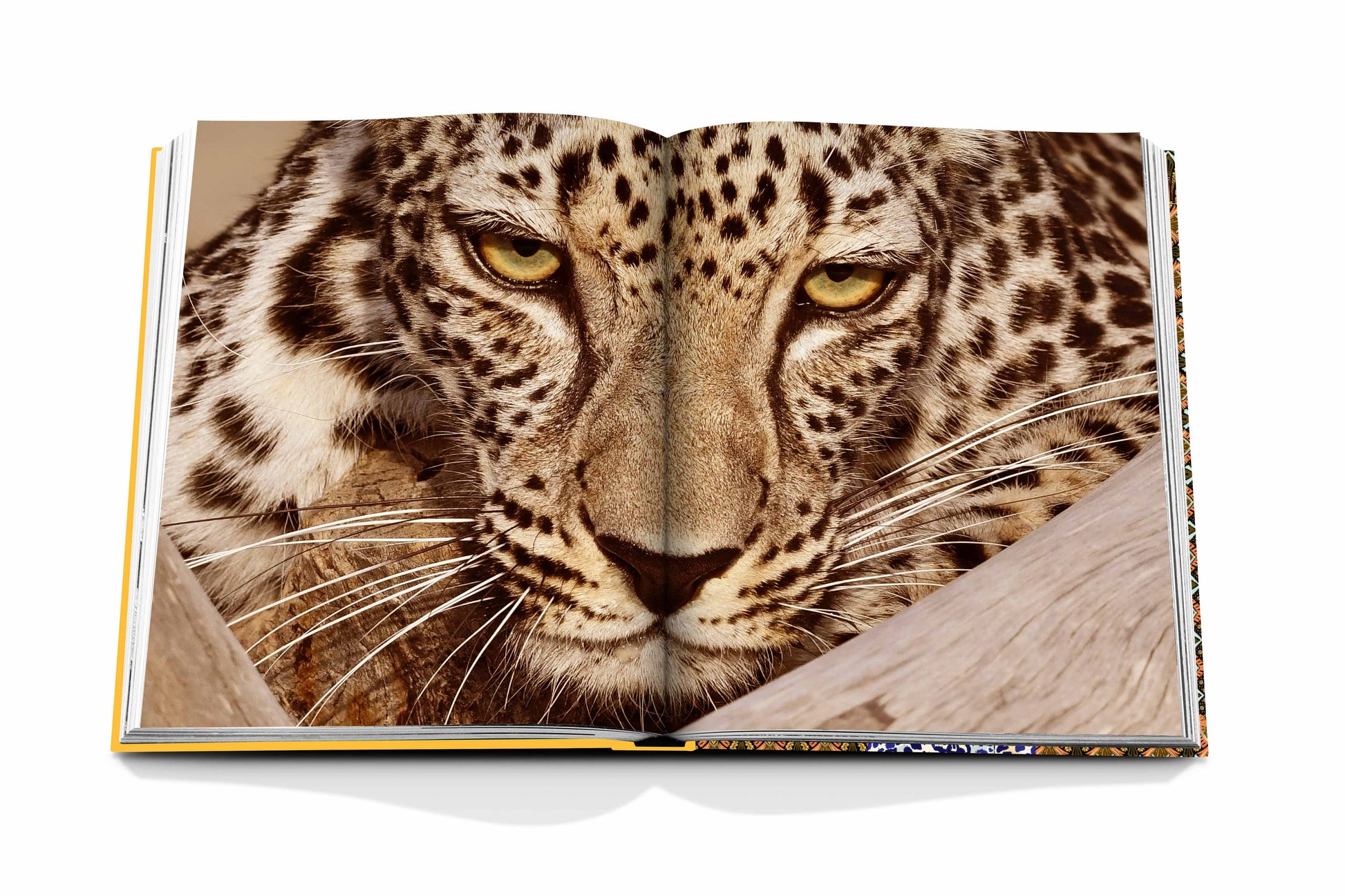 An open book, "Arabian Leopard" by Assouline, showcases a close-up image of the striking leopard's face with its intense eyes and detailed spots, emphasizing the beauty of this critically endangered species and underlining wildlife conservation's importance.
