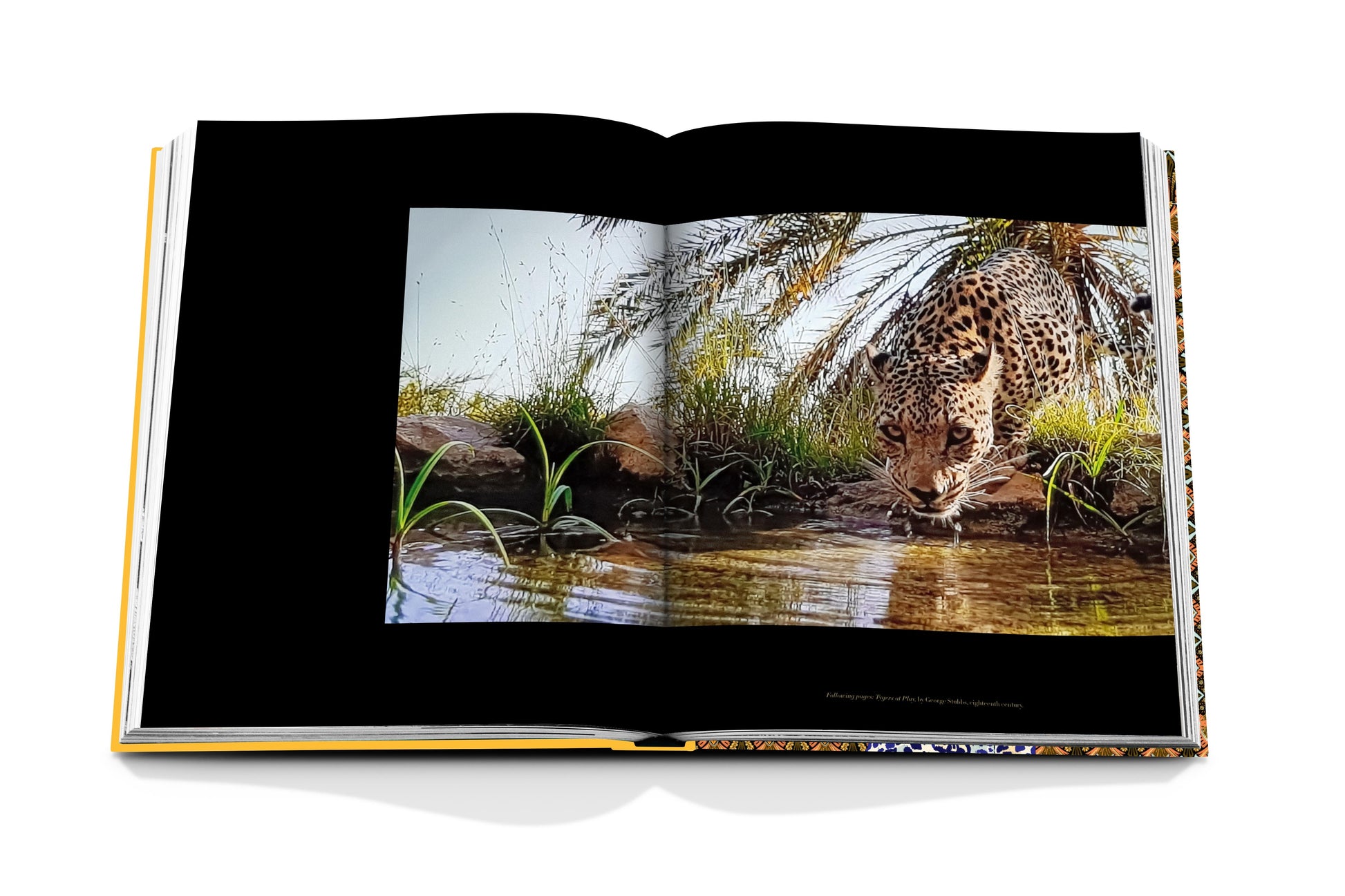 Assouline's "Arabian Leopard" book showcases a glossy page with a leopard drinking water, surrounded by grass and palm trees, emphasizing the importance of conserving this critically endangered species.