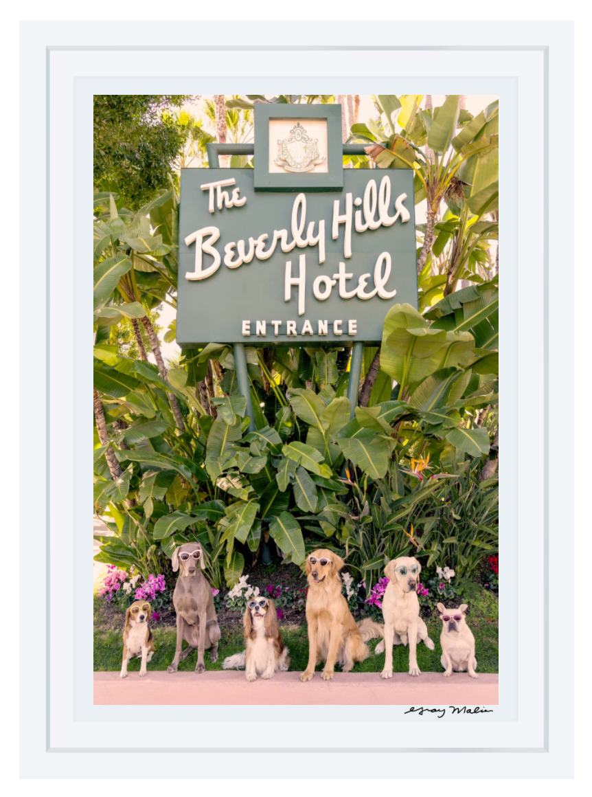 Gray Malin Dogs at The Beverly Hills Hotel Vertical (11.5" x 17", White Frame) by Gray Malin features six classic dog breeds sitting in a row before the iconic hotel entrance, surrounded by lush greenery and vibrant flowers.