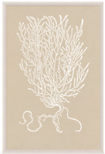 Botanical Study Series 3 by Natural Curiosities is a 42" x 63" art piece featuring an elegant beige background with intricate line drawings of plant branches and roots.