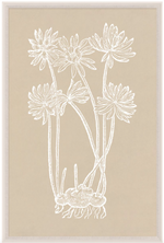 Natural Curiosities' "Botanical Study Series 3" features six white flowers as delicate line drawings on a beige background, capturing the essence of floral art. Dimensions: 42" x 63".