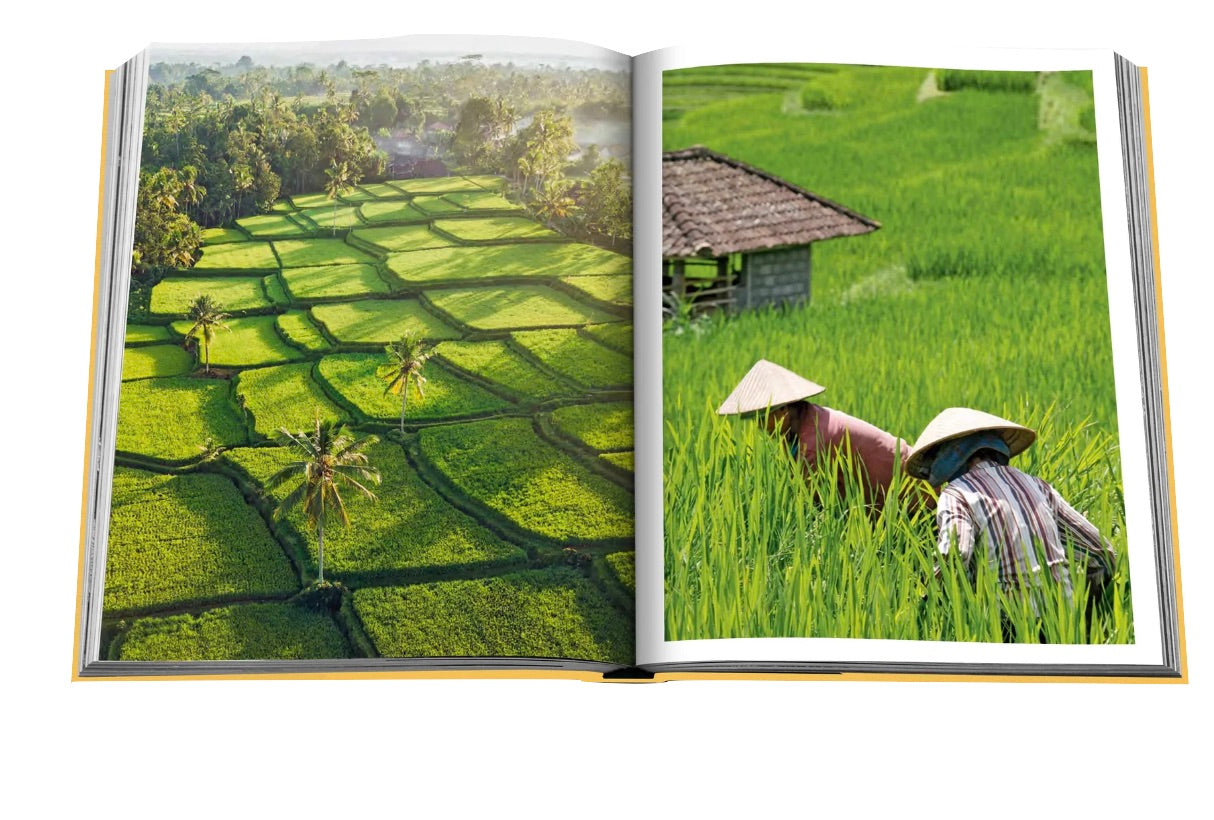 An open book showcasing a landscape of terraced green fields on the left page and two people wearing conical hats working in a green field next to a hut on the right page, capturing the essence of a tropical paradise reminiscent of Bali, an enchanting Indonesian island. This mesmerizing scene is found within "Bali Mystique" by Assouline.