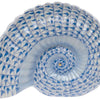 Ammonite Nautilus - Blue