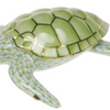 Loggerhead Turtle - Key Lime Green