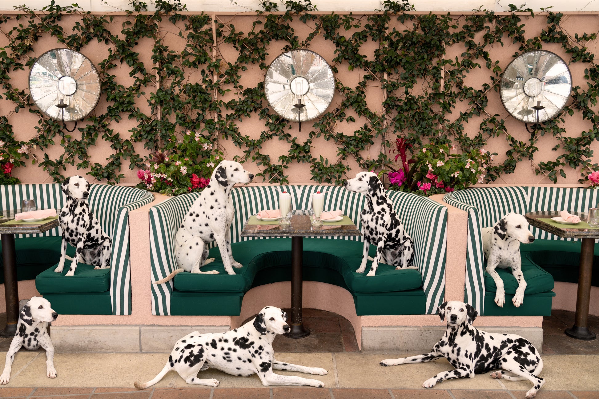 Gray Malin’s "Spotted at The Cabana Cafe" (15.5" x 21", white frame) captures several Dalmatians lounging on green striped booths at The Beverly Hills Hotel, surrounded by mirrored walls and lush ivy.