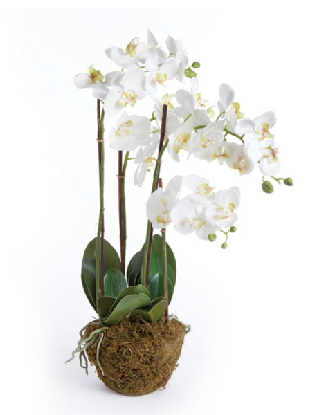 A realistic Faux Phalaenopsis White Orchid Drop-In, 30" plant with green leaves by Napa Home & Garden.