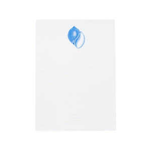 The Printery Common Shell Notepad features bone white paper with a Ness Blue Common Shell Motif illustration flat printed near the top.