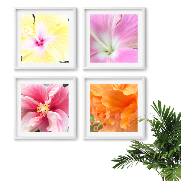 image of floral prints
