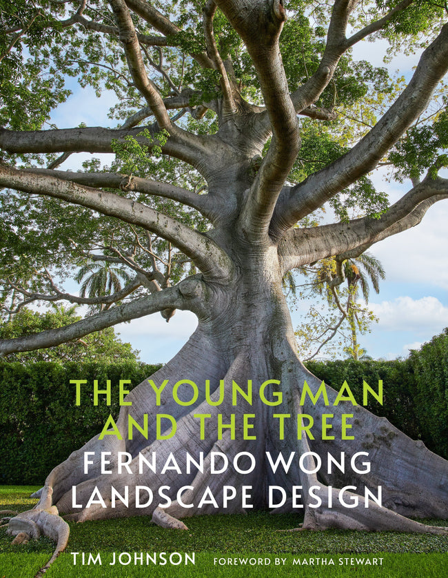 Fernando Wong Book Cover